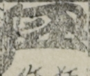 江戸