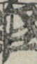 江戸