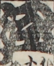 江戸