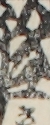 江戸