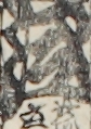江戸
