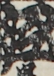江戸