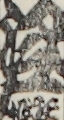 江戸