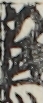 江戸