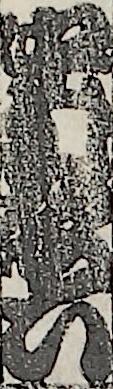 中村歌六