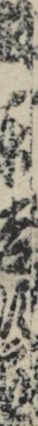 坂東吉次郎