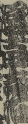冨士田吉治