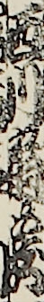 西川扇蔵