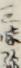 三味線