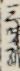 三味線