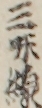 三味線