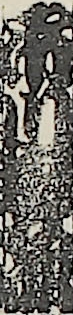 市川團九郎