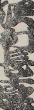 沢村長十郎