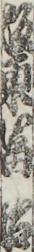 坂東冨治