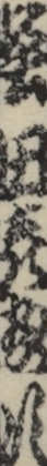 堅田喜惣次