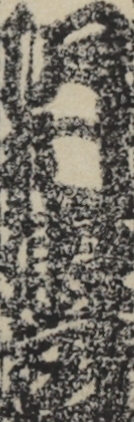 沢村東蔵