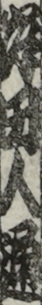 岸田人通