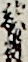 敵役