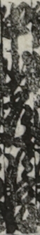 中山常次郎