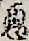 悪