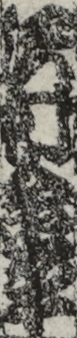沢村金平