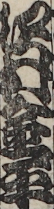 沢村金平