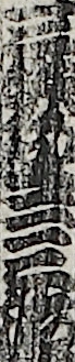 三舛屋二三治