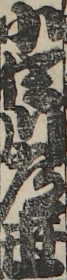 小佐川常世 小佐川常世