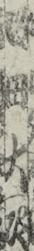 坂田大次