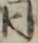 同