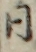 同