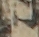 同