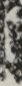 同