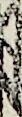 同