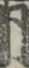 同