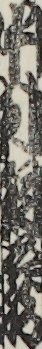 中村相蔵