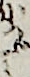 小つづみ
