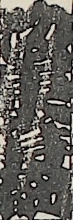 坂東蓑助