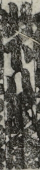 山下八尾蔵