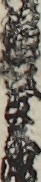 福地茂兵衛