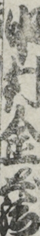 中村金蔵