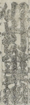 中村金蔵