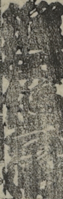 進田候兵衛
