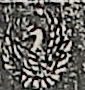 紋
