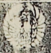 紋