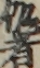 作者