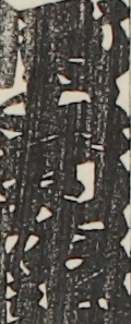 尾上菊次郎
