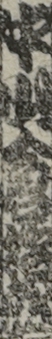 中山倉治郎