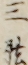 三弦