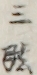 三弦